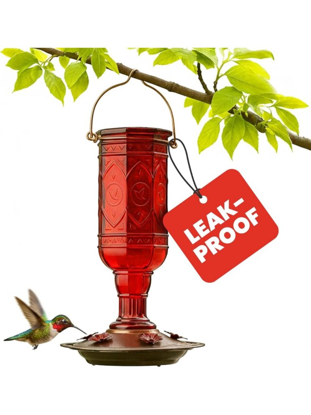 Vibrant Red Glass Hummingbird Feeder with 5 Feeding Ports & 20oz Nectar Capacity